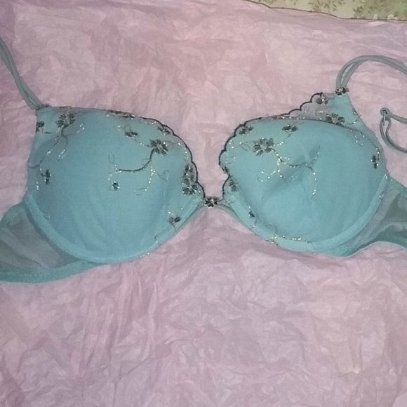 Victoria's Secret Angels Light Blue Embroidered Push-Up Bra 34B - Picture 1 of 4